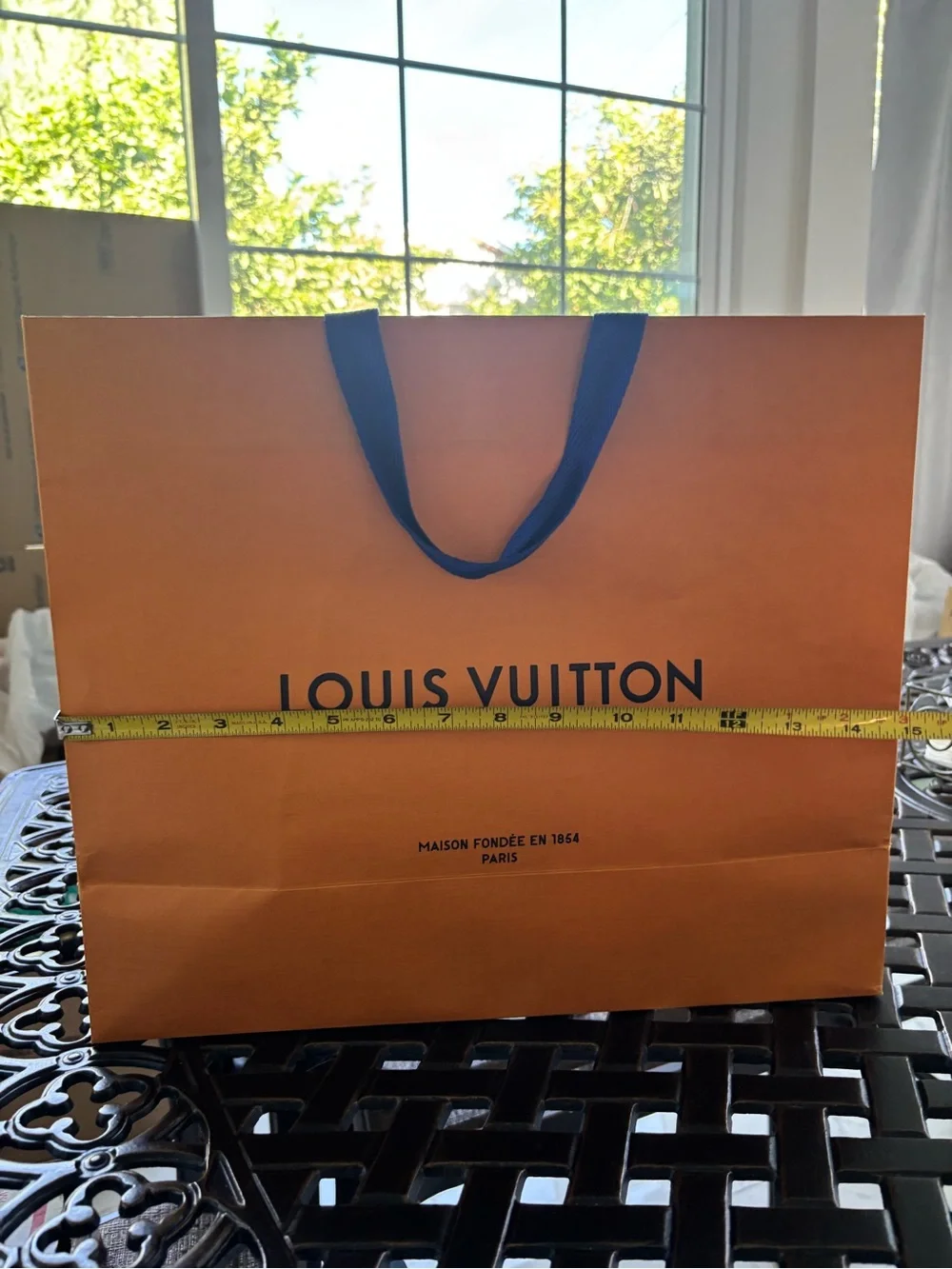 Louis Vuitton Gift Bag